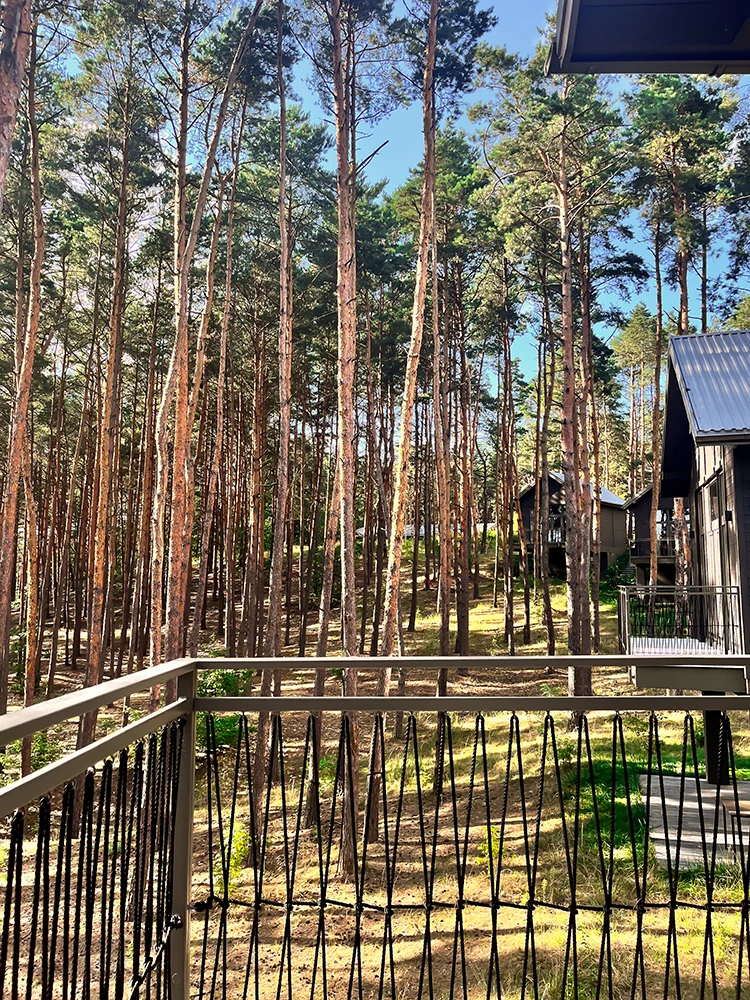 homfi_summer_camp_2024