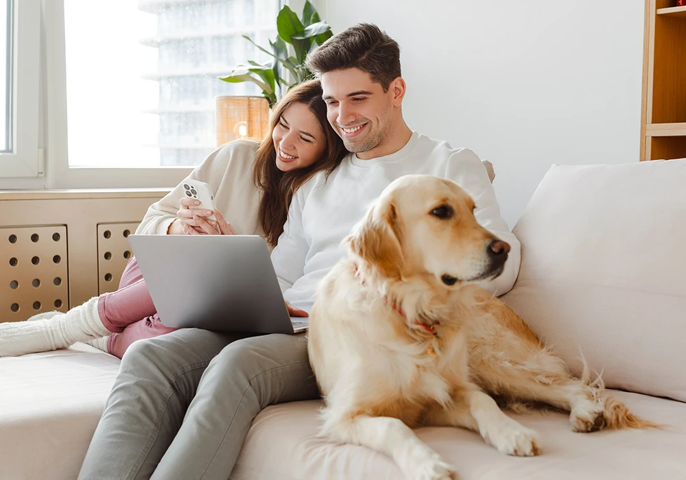 internet-and-television-service-how-it-works.webp