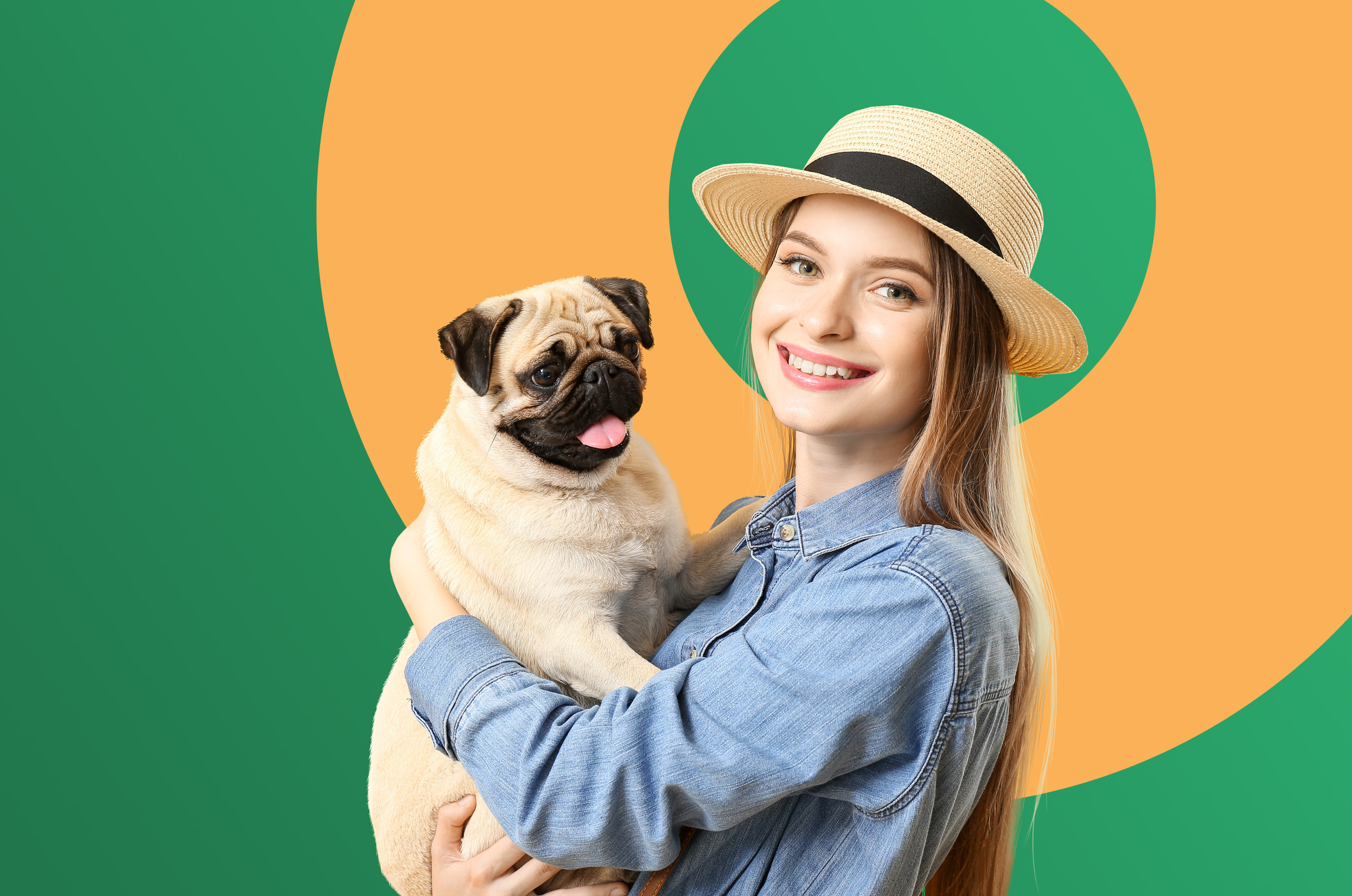 real estate purchase with homfi